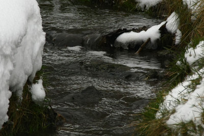 Stream in winter scenery