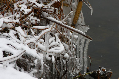 Nature in ice I