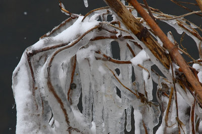 Nature in ice II