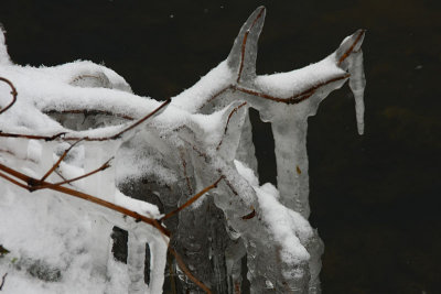 Nature in ice III