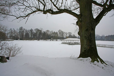 Winter scenery in park complex in Radziejowice