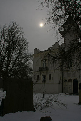 Winter light over Palace