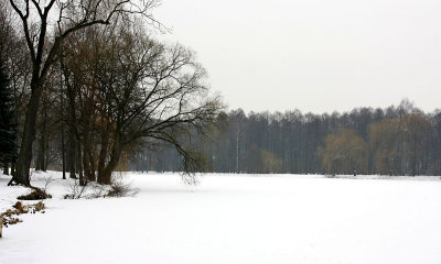 Winter scenery in Radziejowice park