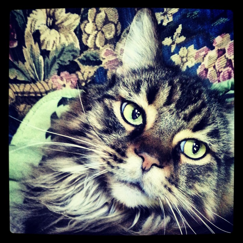 Beauregard