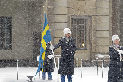 PICT6452.jpg