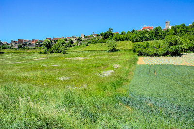 Vzelay Hill