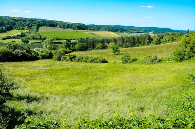 Burgundian countryside near Vzelay