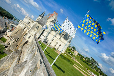 Chteau Royal d'Amboise