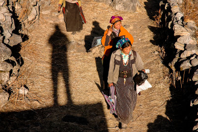 Langtang Valley