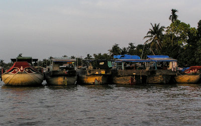 Mekong Delta