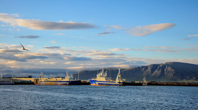 Old Harbour, Reykjavik