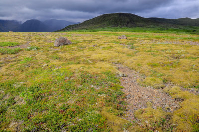 Skaftafellsheidi, Skaftafell NP