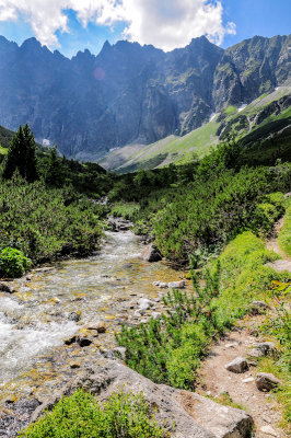 Upper Javorova Valley with Javorove Stity 2418m behind