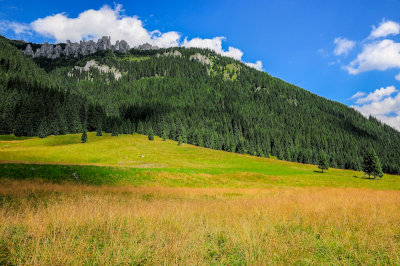 Polana Chocholowska, Upper Chocholowska Valley