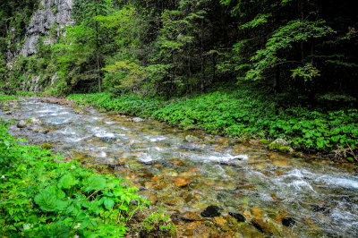 Koscieliska Valley