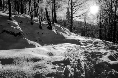 Owl Mountains near Walim Pass