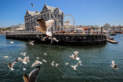 Victoria and Alfred Waterfront