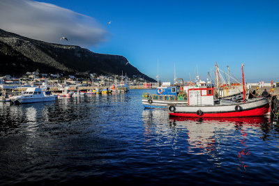Fishing Harbour, Kalk Bay