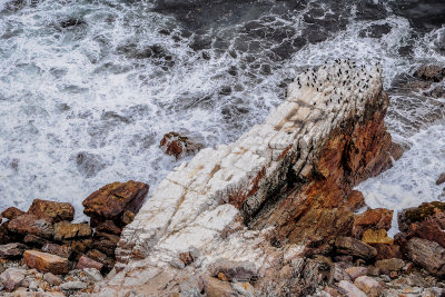 Cape of Good Hope