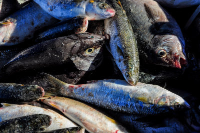 Fish Market, Kalk Bay