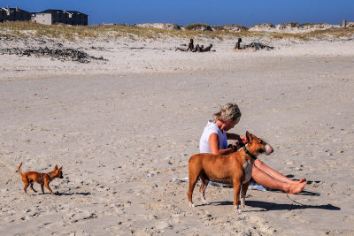 Sunrise Beach, Muizenberg