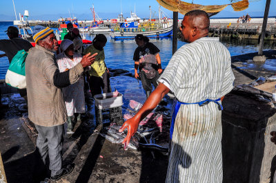 Fish Market, Kalk Bay
