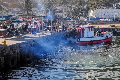 Fishing Harbour, Kalk Bay