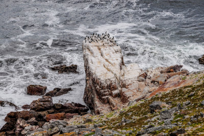 Cape of Good Hope