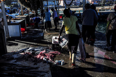 Fish Market, Kalk Bay