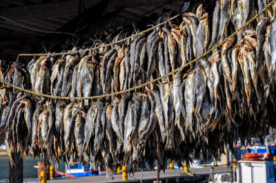 Fish Market, Kalk Bay