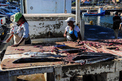 Fish Market, Kalk Bay