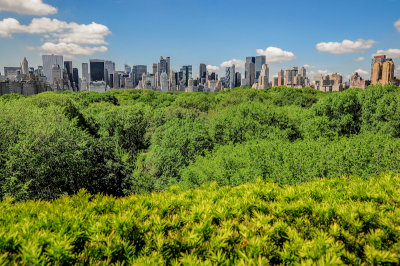 Central Park and Midtown behind, New York City