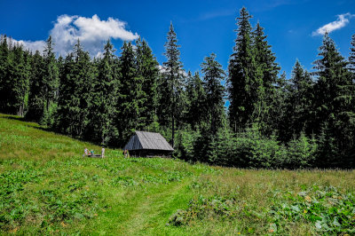 Kominiarski Przyslop Glade