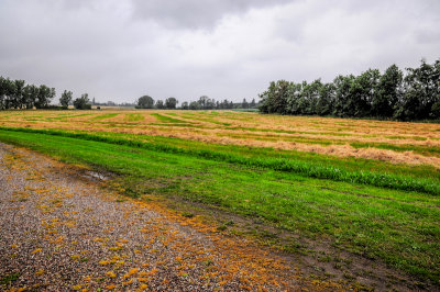 Møn Island