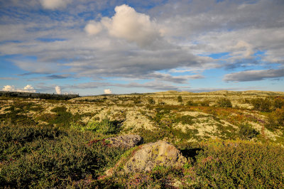 Hardangervidda