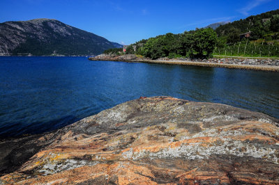 Hardangerfjord near Lote