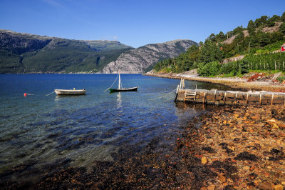 Hardangerfjord near Lote