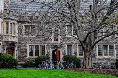 Princeton University