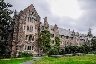 Princeton University