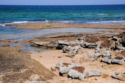 Gulf of Oman, Sur