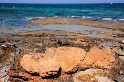 Gulf of Oman, Sur