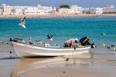 Sur Bay
