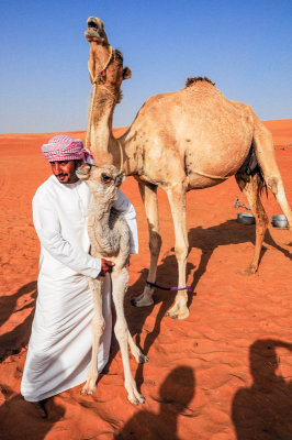 Ahmed with camels, Wahiba Sands