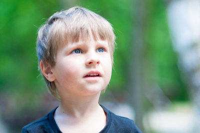 Aleksander, Barycz Valley