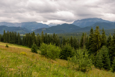 Plazwka with West Tatra in the background