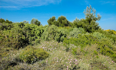 Premantura Peninsula