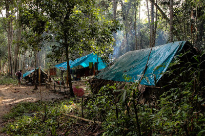 Batek People Settlement, Taman Negara NP