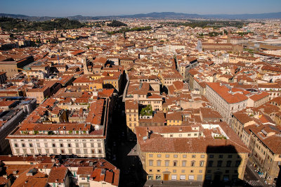 Florence