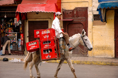 Fes