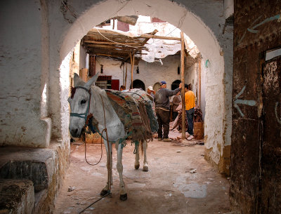 Medina of Fez, Fes